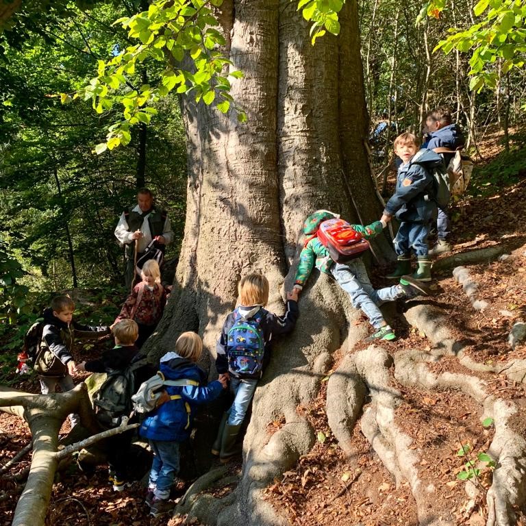 De School Openbare Basisschool Nieuwebrug In Ommen